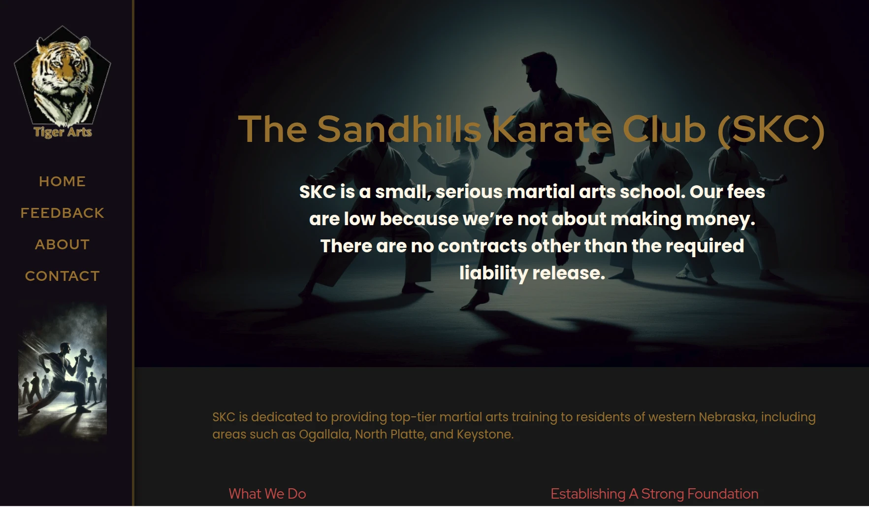 Sandhills Karate Club website preview